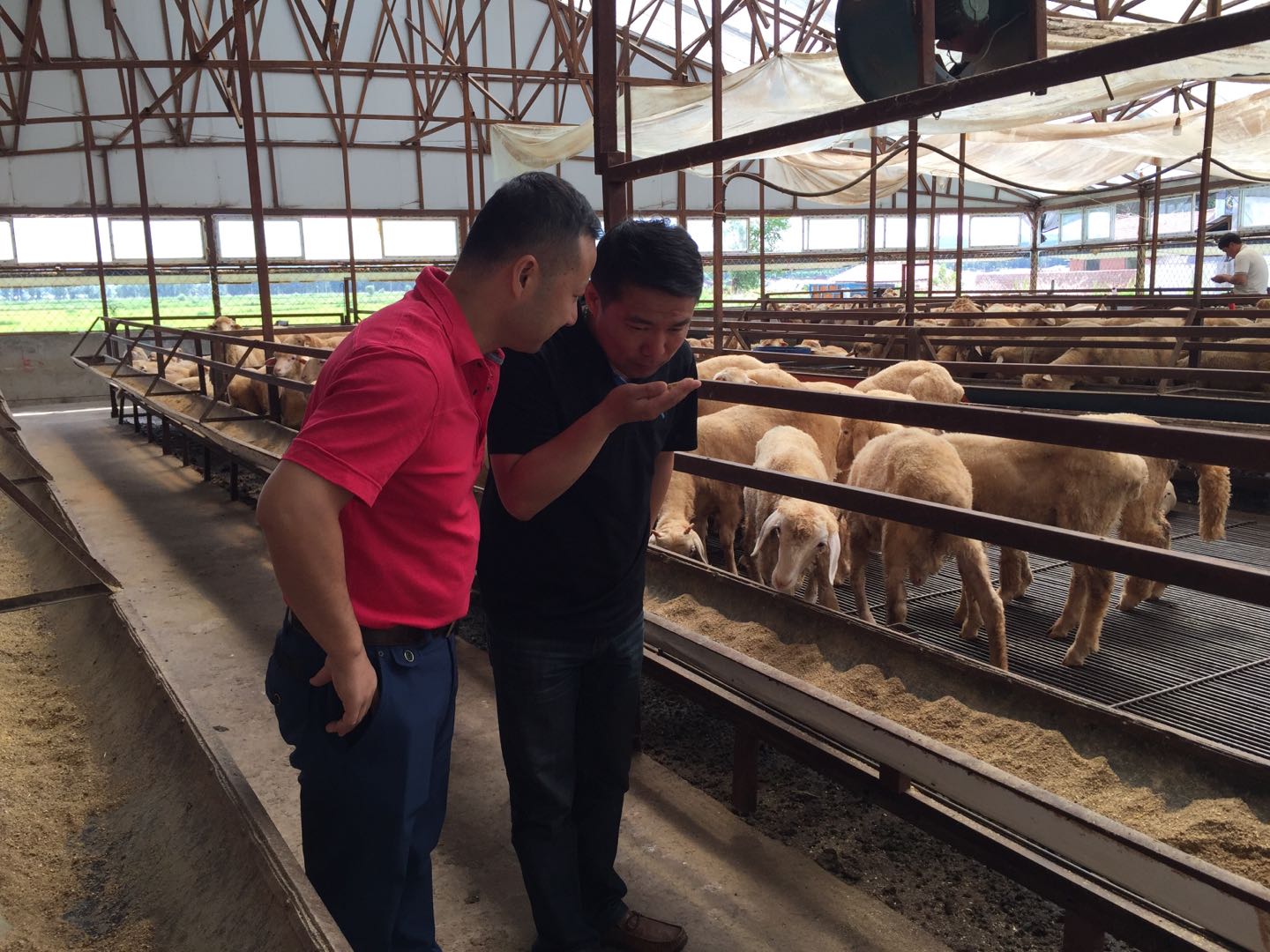 Bio-Mat (5).jpg