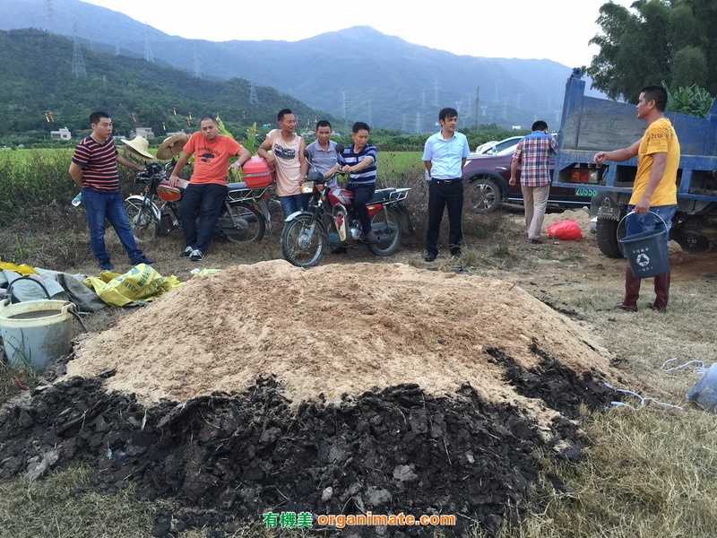 广东惠东白云村组织村民使用亚联微生物肥进行堆肥